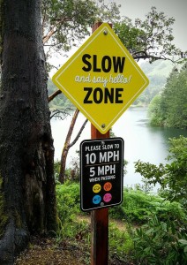New Slow Zone Signage now at Lake Lagunitas