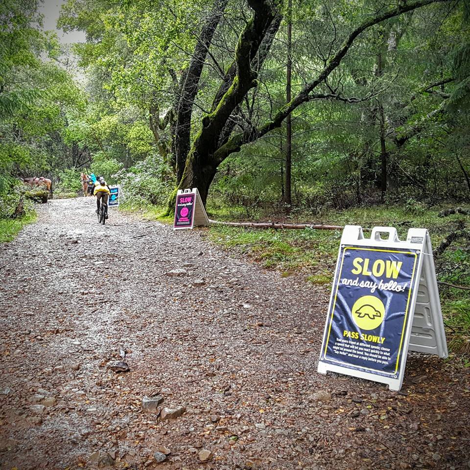 Lake Lagunitas Slow Zone Rolls Out