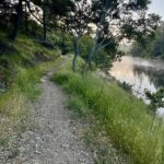 Dirt trail through trees alongside the waterfront in the Marin Water watershed