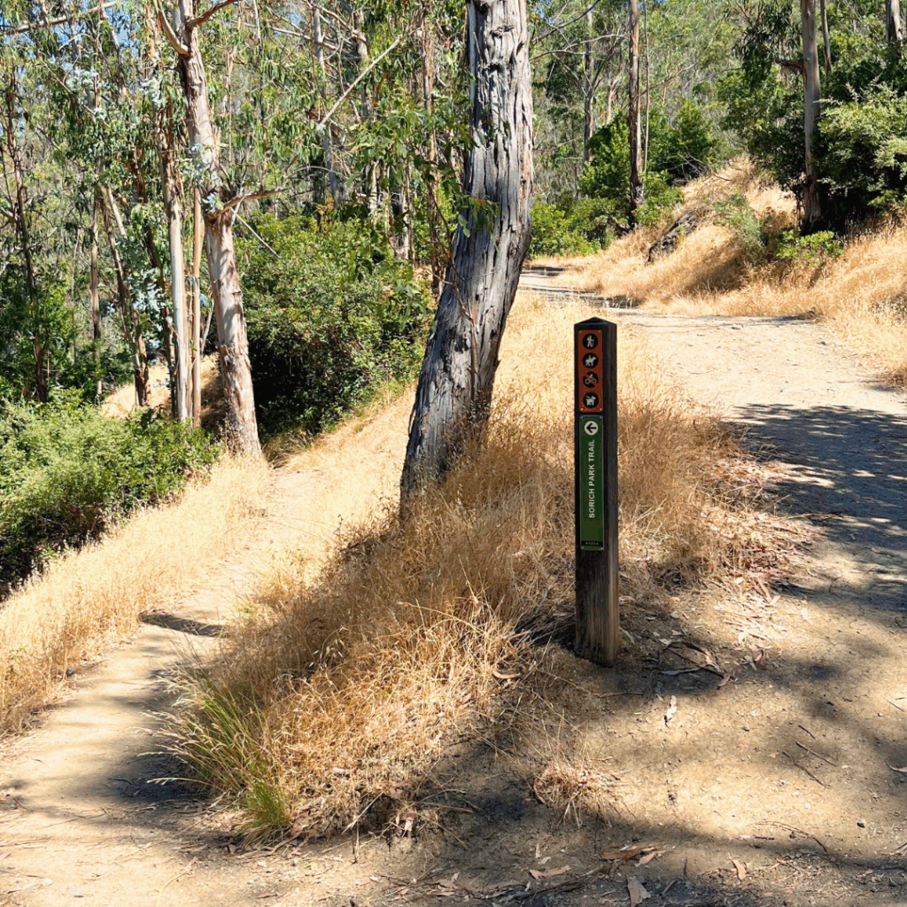 Signpost marking Sorich Park Trail connection in wooded area of San Anselmo.