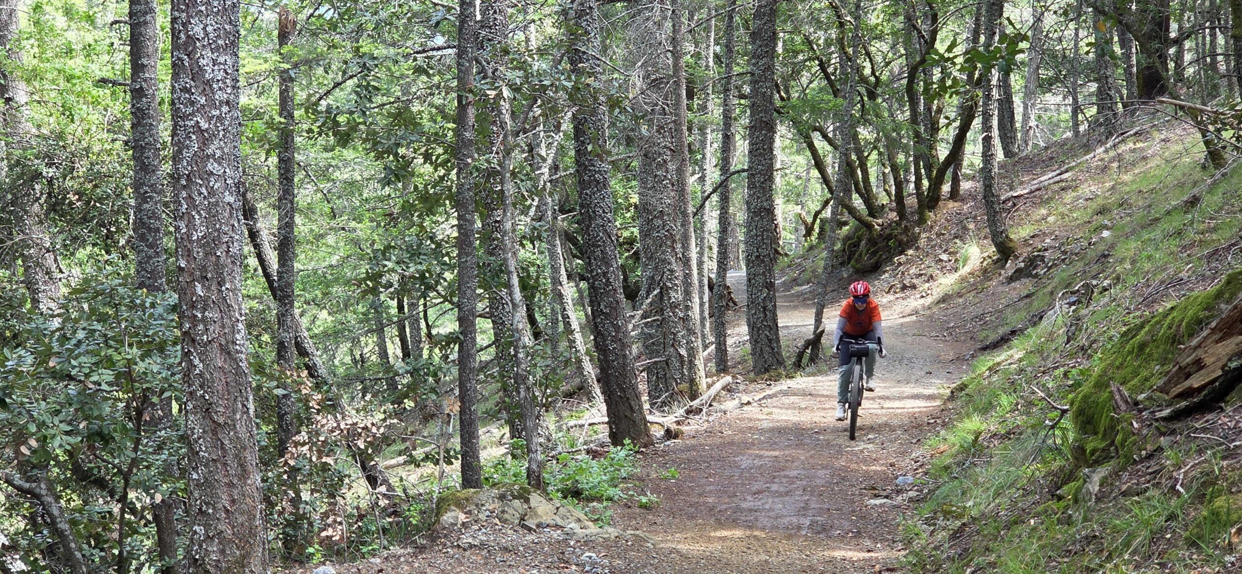 Easy Grade Trail