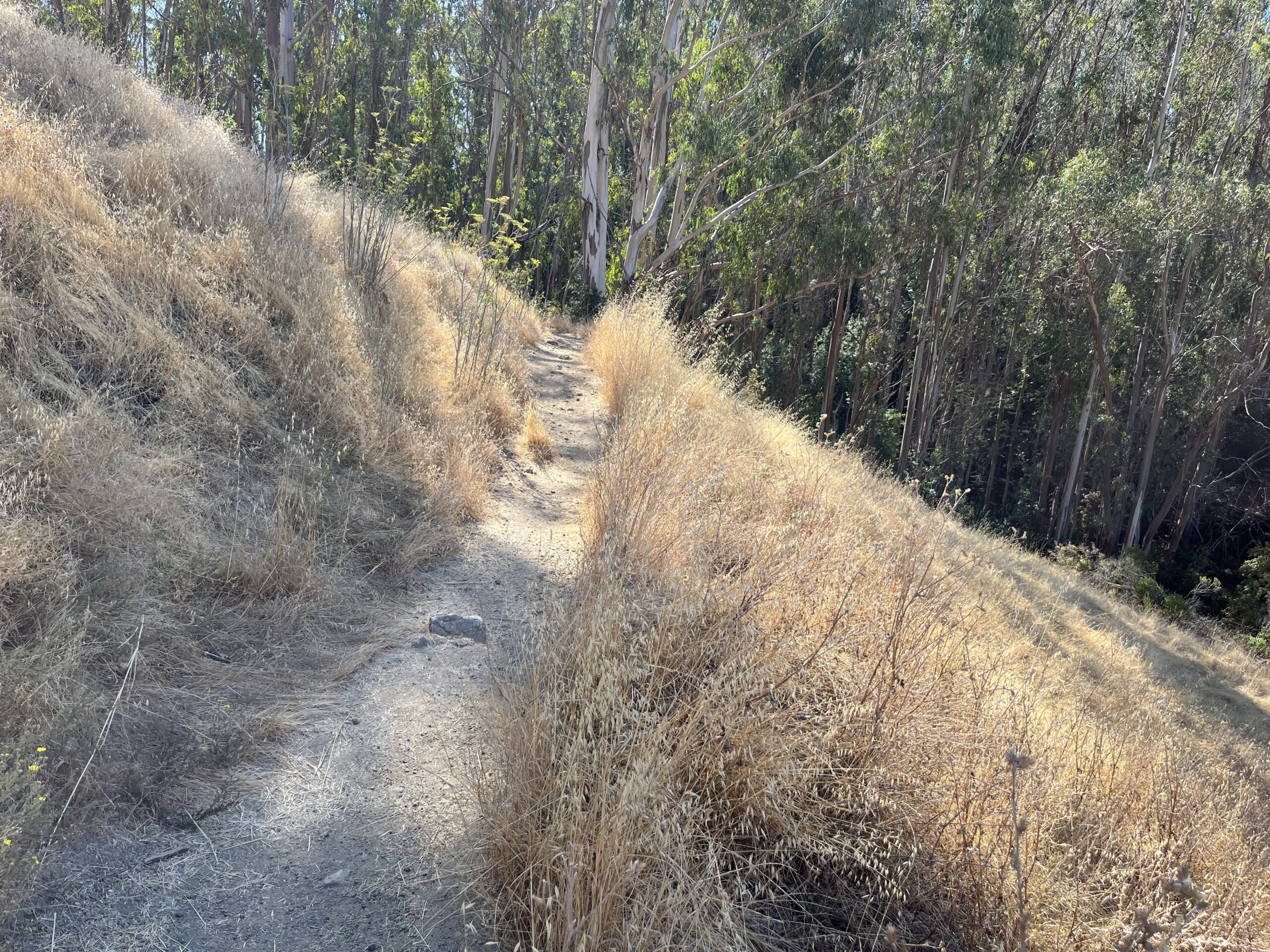 Sorich Park Trail